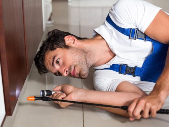 شركة لابادة النمل باحترافية نهائيا مع افضل شركة