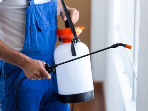 الشركة الألمانية لمكافحة البق نهائيا وضمان سنوات