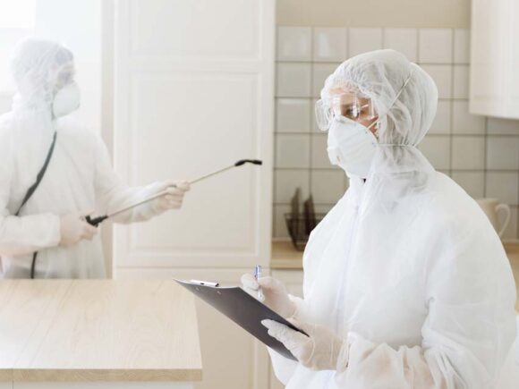 الألمانية المعتمدة أفضل شركة ابادة القوارض