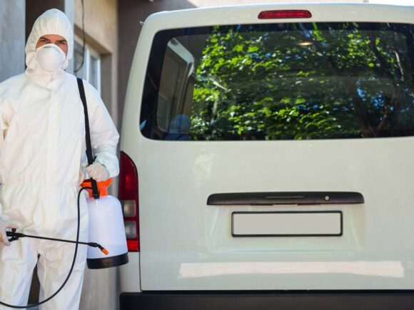 ابادة الابراص نهائيًا بمبيدات بدون رائحة