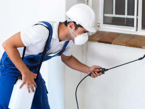 ابادة سوس الخشب بتقنيات حديثة ومبيدات قوية