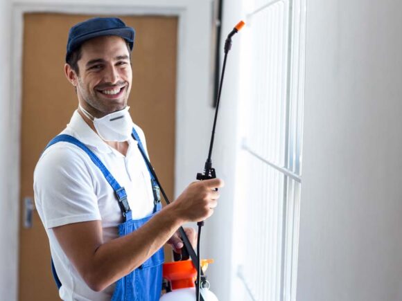 مكافحة حشرات القاهرة مع الشركة الألمانية