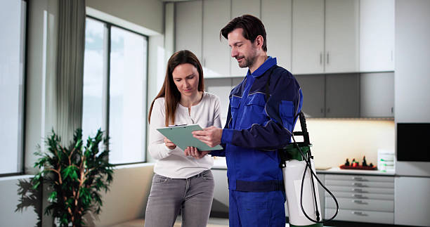 شركة مكافحة حشرات فى المعادي 