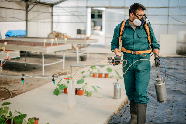 شركة مكافحة حشرات فى مدينة الشروق