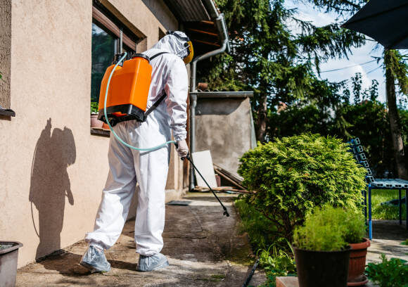 شركة مكافحة حشرات فى الاسكندرية 01027263090