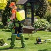 ارقام الشركه الالمانيه لمكافحة الحشرات في الرحاب