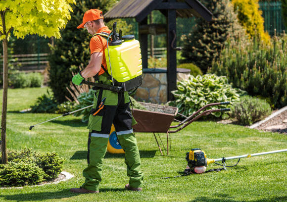 ارقام الشركه الالمانيه لمكافحة الحشرات في الرحاب 01027263090