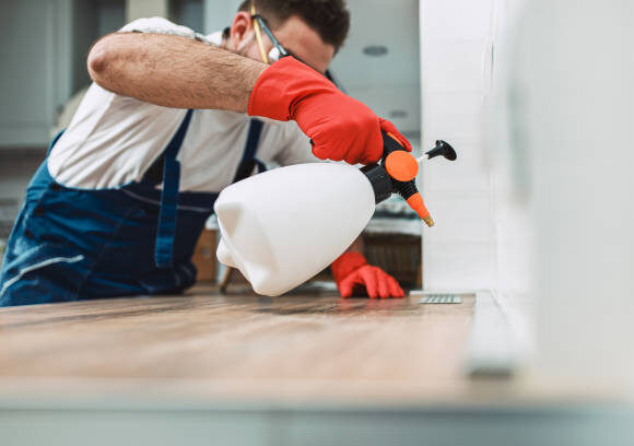 الشركه الالمانيه لاباده الحشرات في الرحاب 01027263090