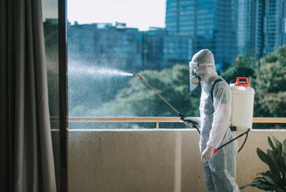 رقم رش الحشرات فى الرحاب 01027263090